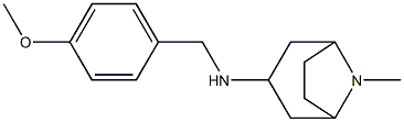 N-[(4-methoxyphenyl)methyl]-8-methyl-8-azabicyclo[3.2.1]octan-3-amine 구조식 이미지