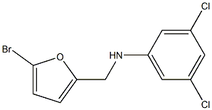 N-[(5-bromofuran-2-yl)methyl]-3,5-dichloroaniline 구조식 이미지