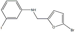 N-[(5-bromofuran-2-yl)methyl]-3-iodoaniline 구조식 이미지