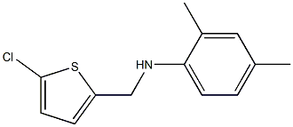 N-[(5-chlorothiophen-2-yl)methyl]-2,4-dimethylaniline 구조식 이미지