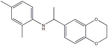 N-[1-(2,3-dihydro-1,4-benzodioxin-6-yl)ethyl]-2,4-dimethylaniline 구조식 이미지