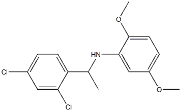 N-[1-(2,4-dichlorophenyl)ethyl]-2,5-dimethoxyaniline 구조식 이미지