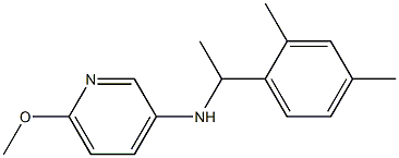 N-[1-(2,4-dimethylphenyl)ethyl]-6-methoxypyridin-3-amine 구조식 이미지