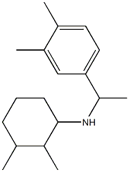 N-[1-(3,4-dimethylphenyl)ethyl]-2,3-dimethylcyclohexan-1-amine 구조식 이미지