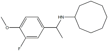 N-[1-(3-fluoro-4-methoxyphenyl)ethyl]cyclooctanamine 구조식 이미지