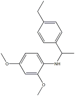 N-[1-(4-ethylphenyl)ethyl]-2,4-dimethoxyaniline 구조식 이미지