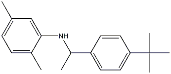 N-[1-(4-tert-butylphenyl)ethyl]-2,5-dimethylaniline Structure