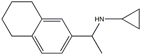 N-[1-(5,6,7,8-tetrahydronaphthalen-2-yl)ethyl]cyclopropanamine Structure