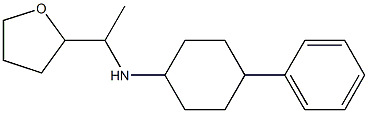 N-[1-(oxolan-2-yl)ethyl]-4-phenylcyclohexan-1-amine Structure