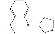 N-[2-(propan-2-yl)phenyl]thiolan-3-amine 구조식 이미지