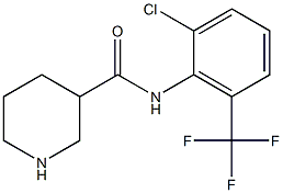 N-[2-chloro-6-(trifluoromethyl)phenyl]piperidine-3-carboxamide Structure