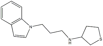 N-[3-(1H-indol-1-yl)propyl]thiolan-3-amine 구조식 이미지