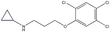 N-[3-(2,4,5-trichlorophenoxy)propyl]cyclopropanamine Structure