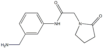 N-[3-(aminomethyl)phenyl]-2-(2-oxopyrrolidin-1-yl)acetamide 구조식 이미지