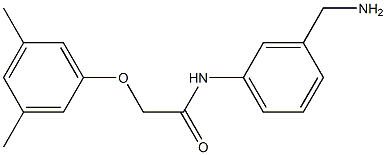 N-[3-(aminomethyl)phenyl]-2-(3,5-dimethylphenoxy)acetamide Structure