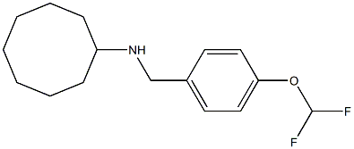 N-{[4-(difluoromethoxy)phenyl]methyl}cyclooctanamine Structure