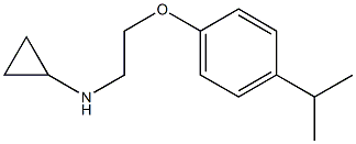 N-{2-[4-(propan-2-yl)phenoxy]ethyl}cyclopropanamine 구조식 이미지