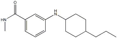 N-methyl-3-[(4-propylcyclohexyl)amino]benzamide 구조식 이미지