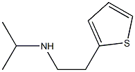 propan-2-yl[2-(thiophen-2-yl)ethyl]amine 구조식 이미지