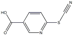 6-(cyanosulfanyl)nicotinic acid 구조식 이미지