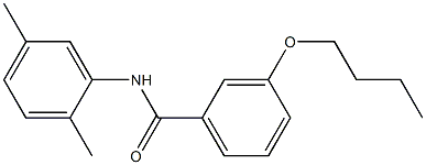 3-butoxy-N-(2,5-dimethylphenyl)benzamide Structure