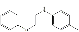 2,4-dimethyl-N-(2-phenoxyethyl)aniline 구조식 이미지