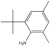 2-tert-butyl-4,6-dimethylaniline Structure