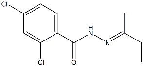 2,4-dichloro-N'-[(E)-1-methylpropylidene]benzohydrazide 구조식 이미지