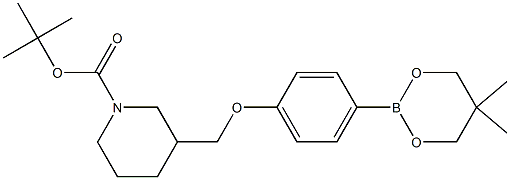 tert-Butyl 3-{[4-(5,5-dimethyl-1,3,2-dioxaborinan-2-yl)phenoxy]methyl}piperidine-1-carboxylate 구조식 이미지