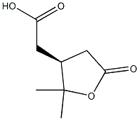(S)-Tetrahydro-2,2-dimethyl-5-oxo-3-furanacetic acid Structure