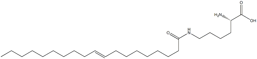 N6-(9-Nonadecenoyl)lysine Structure