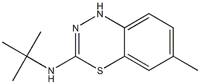 3-tert-Butylamino-6-methyl-1H-4,1,2-benzothiadiazine Structure