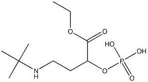 Phosphoric acid [2-(tert-butylamino)ethyl]ethoxycarbonylmethyl ester Structure