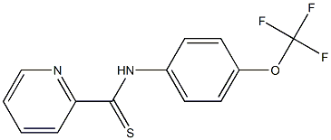 N-[4-Trifluoromethoxyphenyl]pyridine-2-carbothioamide Structure