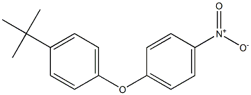 4-Nitrophenyl 4-tert-butylphenyl ether Structure