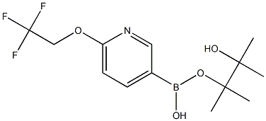 6-(2,2,2-trifluoroethoxy)pyridine-3-boronic acid pinacol ester 구조식 이미지