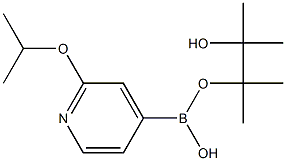 2-Isopropoxypyridine-4-boronic acid pinacol ester 구조식 이미지