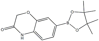 7-(4,4,5,5-Tetramethyl-[1,3,2]dioxaborolan-2-yl)-4H-benzo[1,4]oxazin-3-one 구조식 이미지