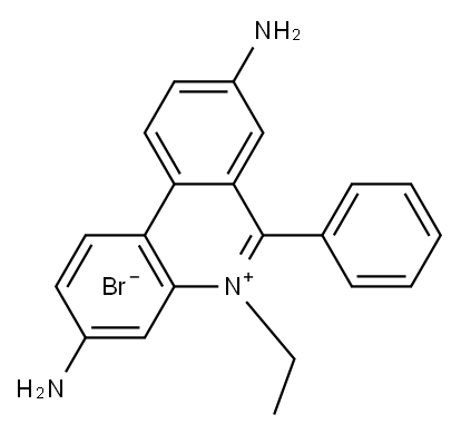 Ethidium bromide solution (EB, 1MG/ML, RNASE FREE) 구조식 이미지