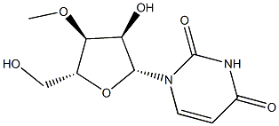 3'-O-Methyl-D-uridine 구조식 이미지