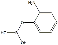 aminophenylboric acid Structure