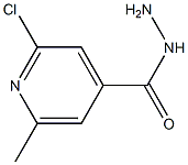 2-chloro-6-methylpyridine-4-carbohydrazide 구조식 이미지