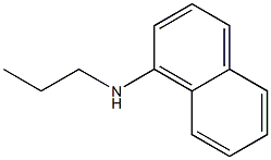 N-propylnaphthylamine Structure