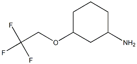 3-(2,2,2-TRIFLUOROETHOXY)CYCLOHEXANAMINE 구조식 이미지