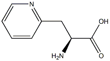 (S)-2-AMINO-3-(PYRIDIN-2-YL)PROPANOIC ACID Structure