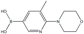 5-Methyl-6-(morpholin-4-yl)pyridine-3-boronic acid 구조식 이미지