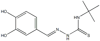 N1-(tert-butyl)-2-(3,4-dihydroxybenzylidene)hydrazine-1-carbothioamide Structure