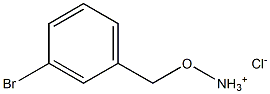 1-[(ammoniooxy)methyl]-3-bromobenzene chloride 구조식 이미지