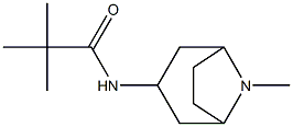 N1-(8-methyl-8-azabicyclo[3.2.1]oct-3-yl)-2,2-dimethylpropanamide Structure