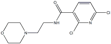 2,6-dichloro-N-(2-morpholinoethyl)nicotinamide 구조식 이미지